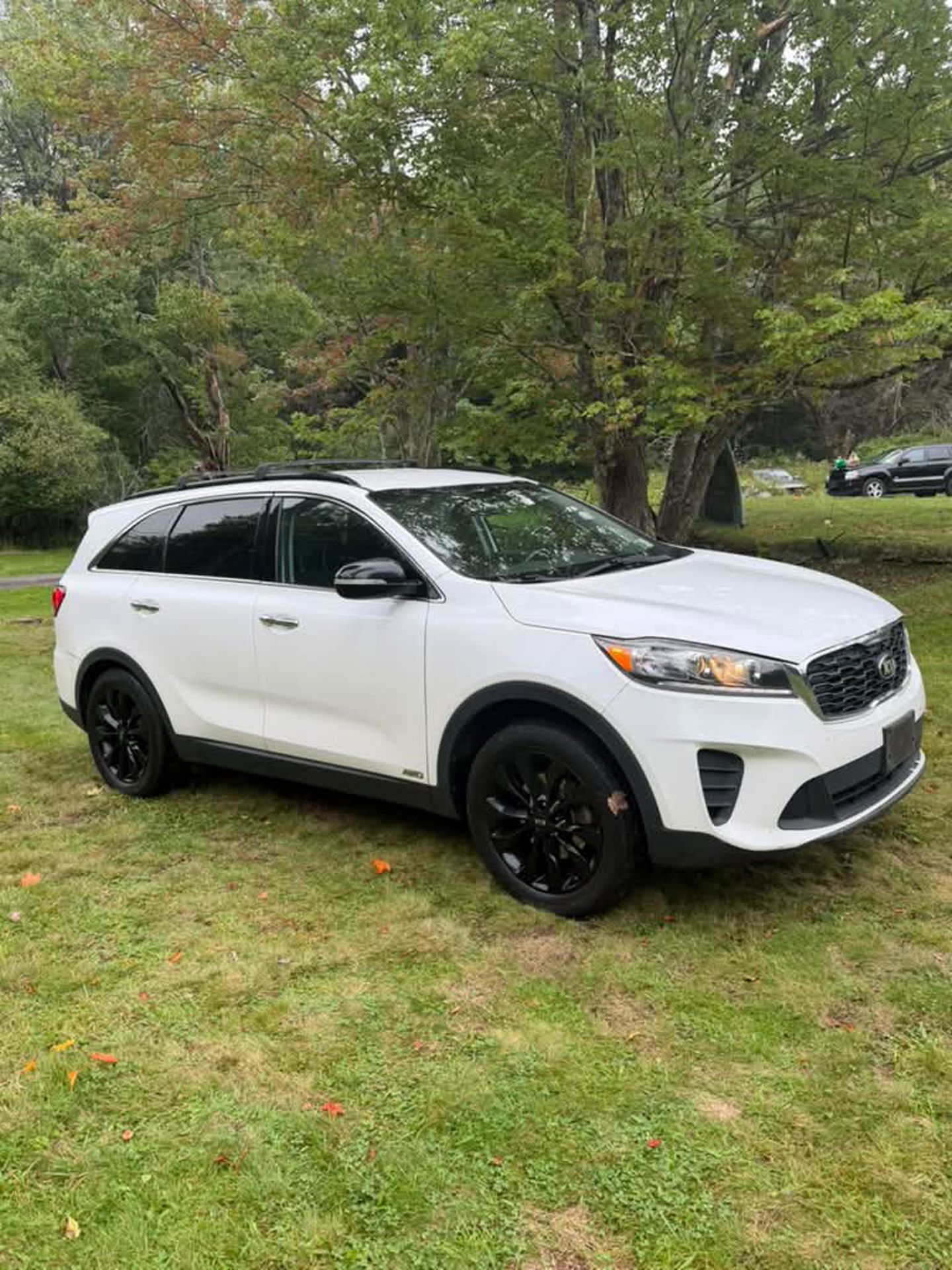 Imagen 4 de 2019 Kia Sorento