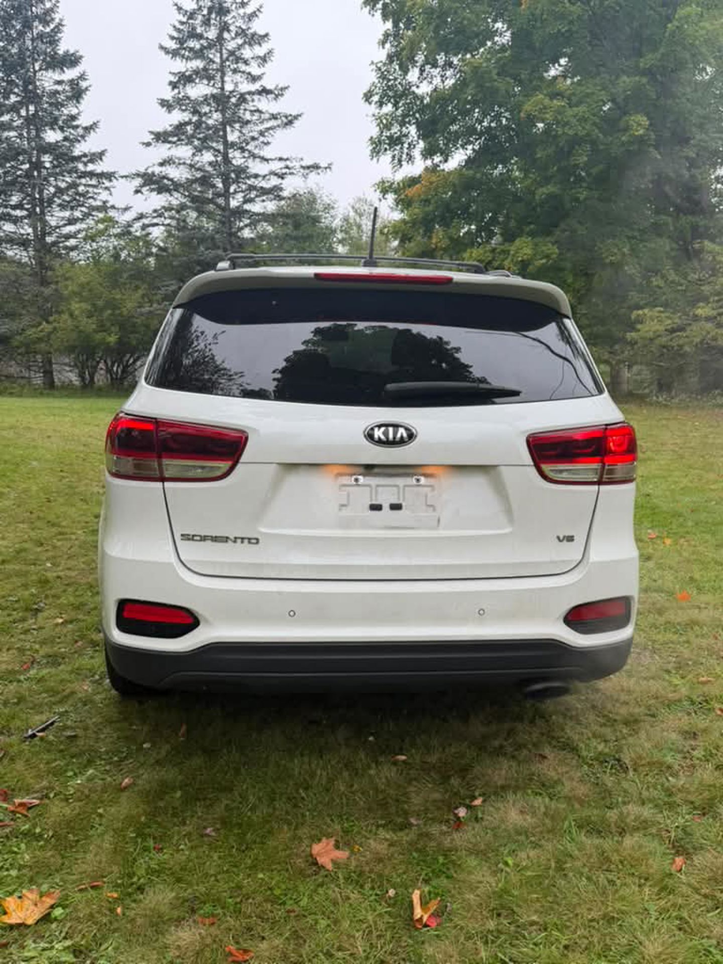 Imagen 2 de 2019 Kia Sorento
