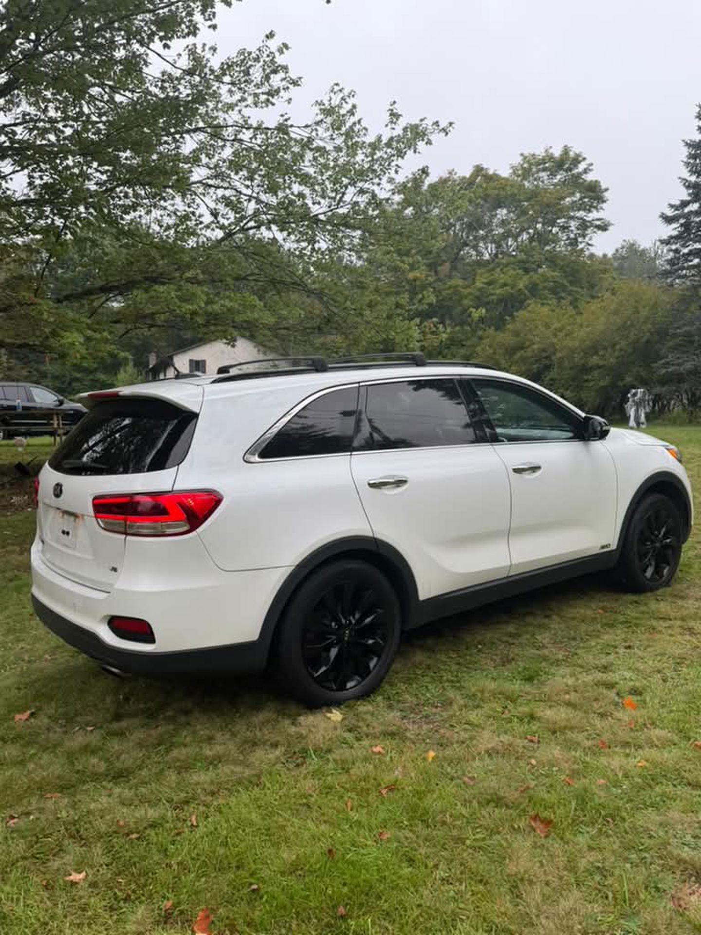 Imagen 3 de 2019 Kia Sorento