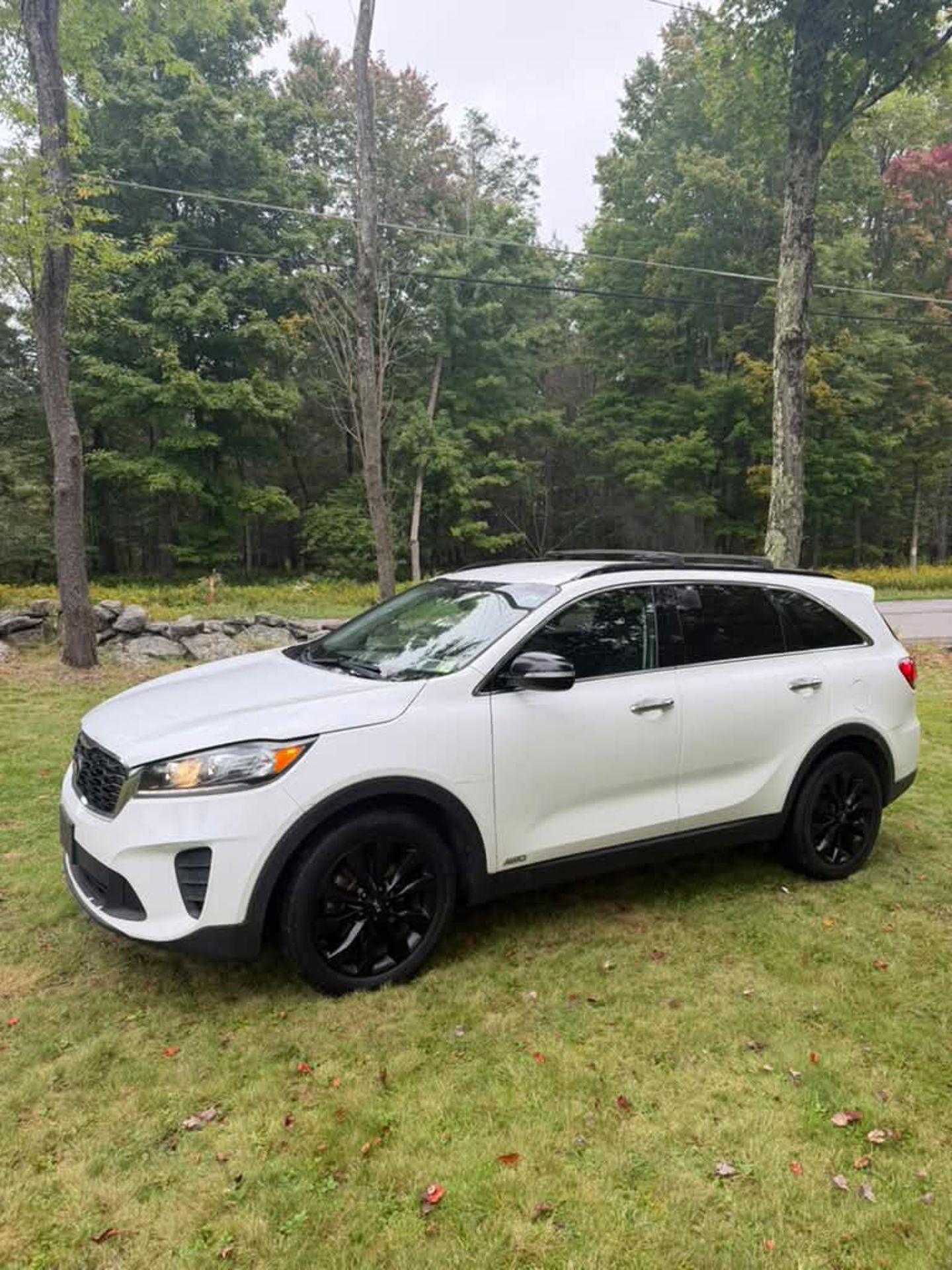 Imagen 1 de 2019 Kia Sorento