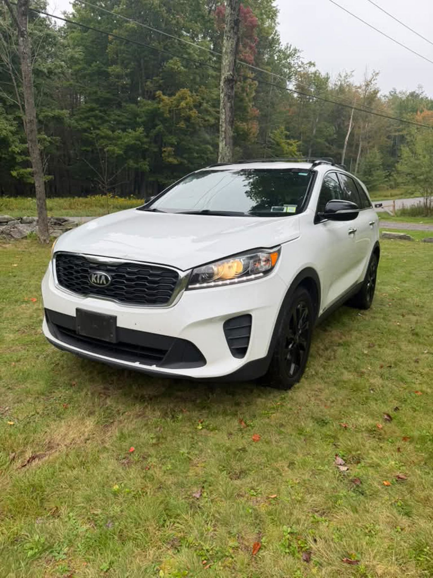 2019 Kia Sorento